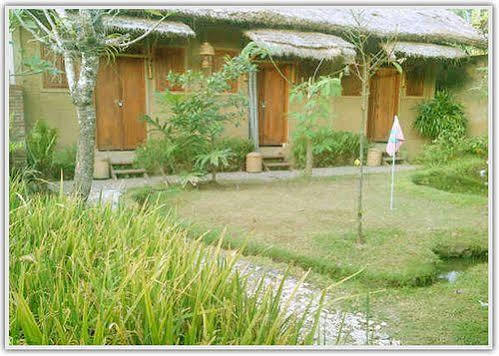 Baleku Homestay Trawangan Gili Trawangan Extérieur photo